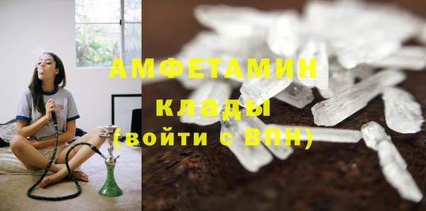 амф Гусь-Хрустальный
