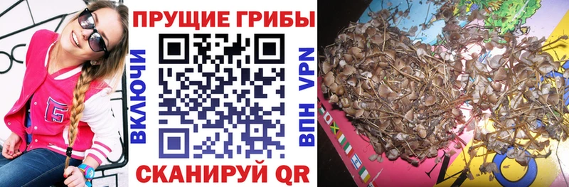Галлюциногенные грибы мицелий  как найти закладки  shop формула  Новотроицк 