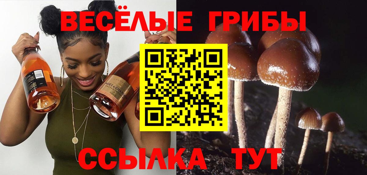 Галлюциногенные грибы Psilocybe  Вход с VPN  хочу   Новотроицк 
